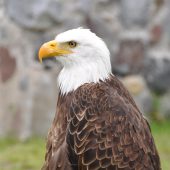  Ecuador